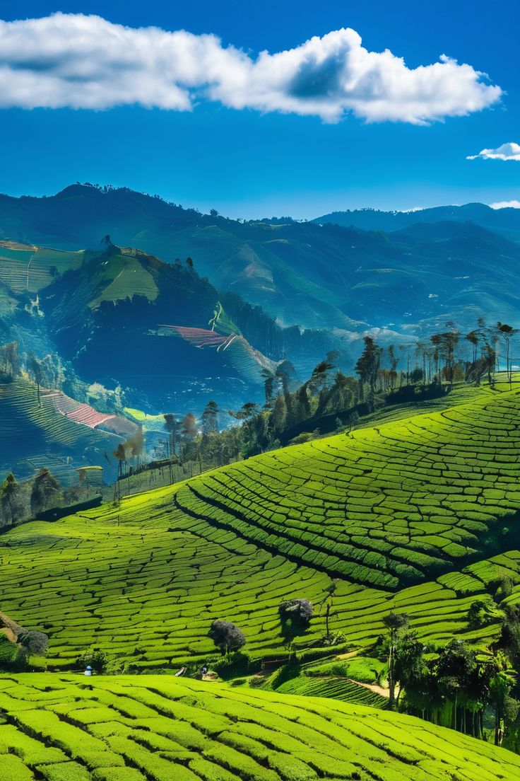 Nuwara Eliya